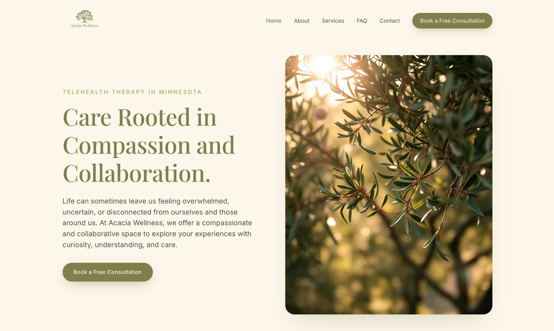 Acacia Wellness website homepage